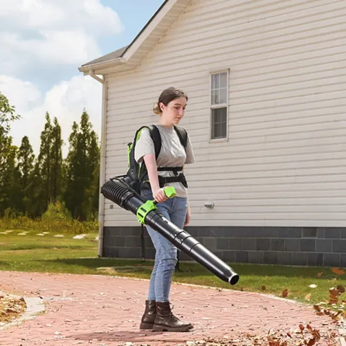 Воздуходувка ранцевая Greenworks GD40BPG2 40V 2408107 бесщеточная аккумуляторная — детальное фото