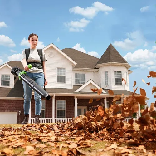 Воздуходувка ранцевая Greenworks GD40BPG2 40V 2408107 бесщеточная аккумуляторная — детальное фото