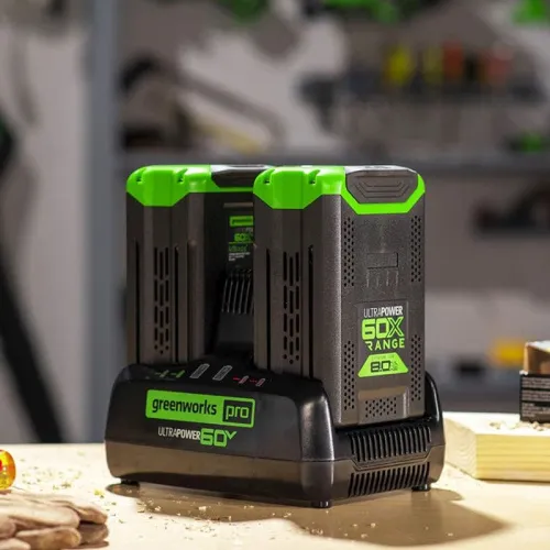 Быстрое зарядное устройство для двух аккумуляторов Greenworks G60DC10 60V 2954407 (10 А) — детальное фото