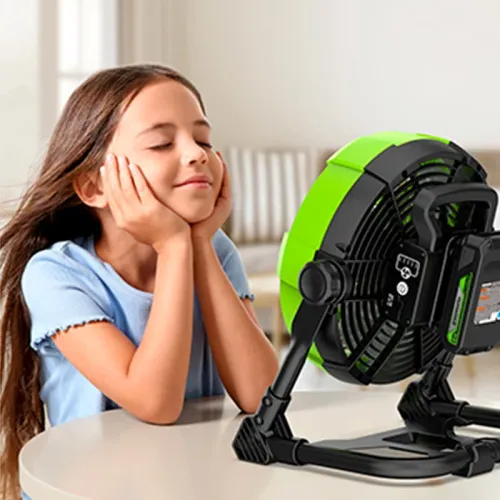 Вентилятор с гибридным питанием Greenworks G24FAN 24V/110-240V 3503407 аккумуляторный — детальное фото