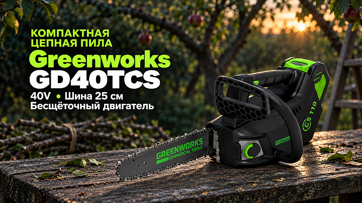 Цепная пила Greenworks GD40TCS 40V 2003807 (25 см) одноручная бесщеточная аккумуляторная