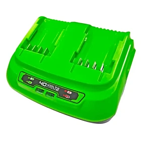 Быстрое зарядное устройство на 2 слота Greenworks G40UC8 40V 2938807